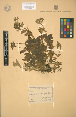 LE 01002895