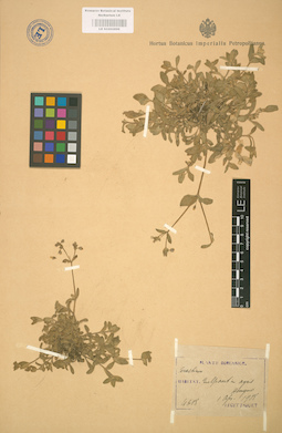 LE 01002896