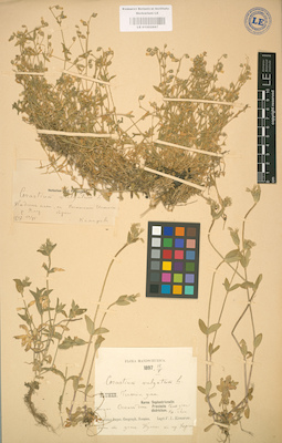 LE 01002897