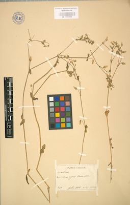 LE 01002898
