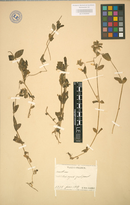 LE 01002899