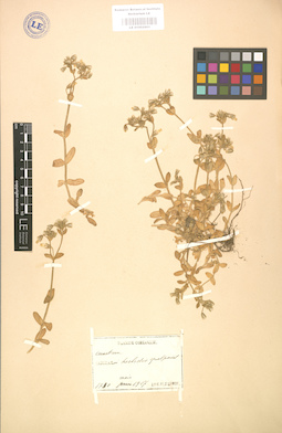 LE 01002901