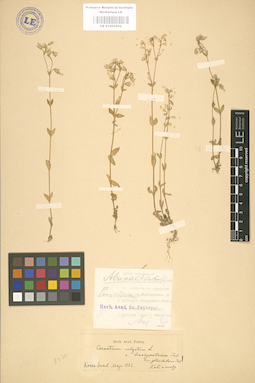 LE 01002902