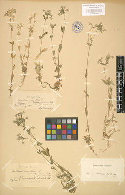 LE 01002903