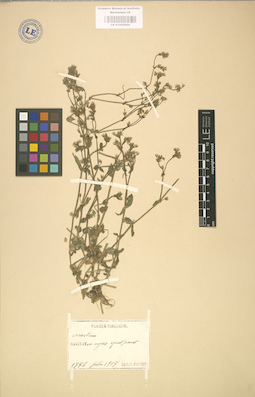 LE 01002904