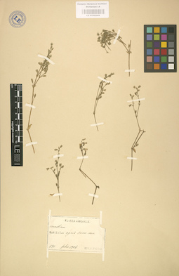 LE 01002906