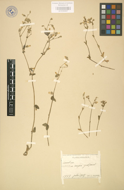 LE 01002907
