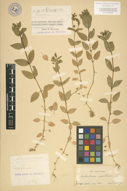 LE 01002908