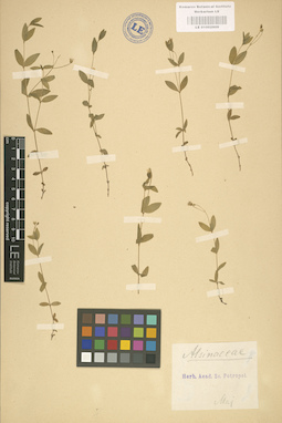 LE 01002909
