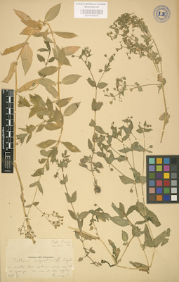LE 01002910
