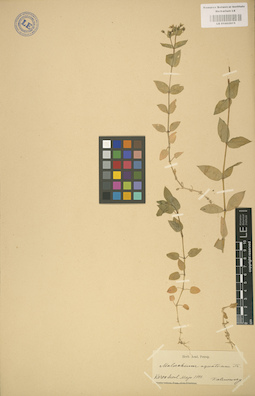 LE 01002911