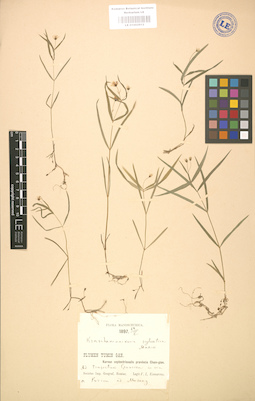 LE 01002912