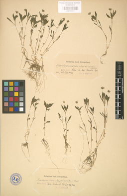 LE 01002913