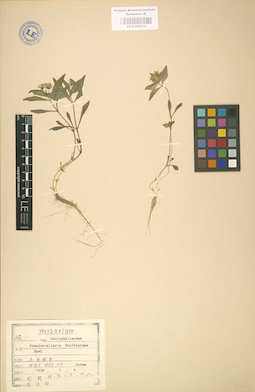 LE 01002914