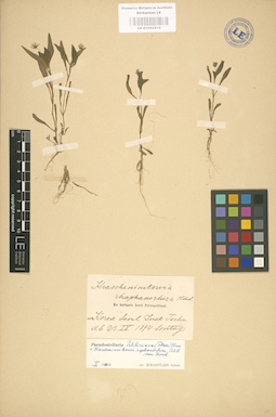 LE 01002915