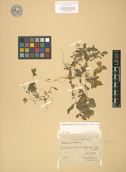 LE 01002916