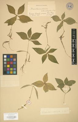 LE 01002917