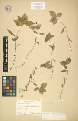 LE 01002918