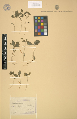 LE 01002919