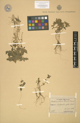 LE 01002920