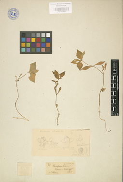 LE 01002921