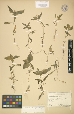 LE 01002922