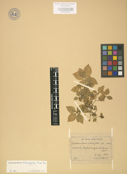 LE 01002923