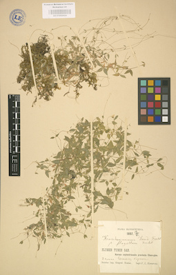 LE 01002924