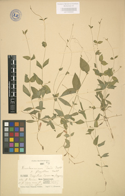 LE 01002925