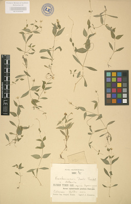 LE 01002926