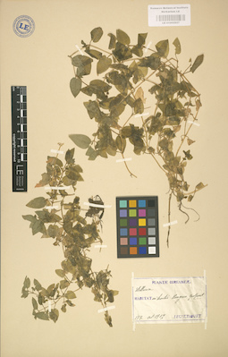 LE 01002927