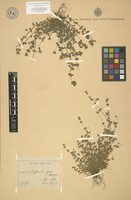 LE 01002928