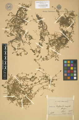 LE 01002930