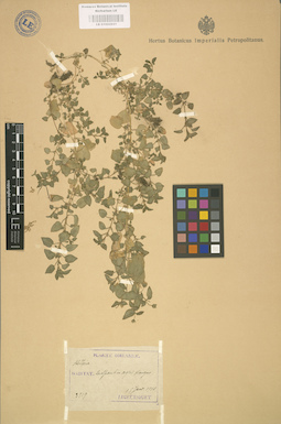 LE 01002931