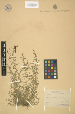 LE 01002932
