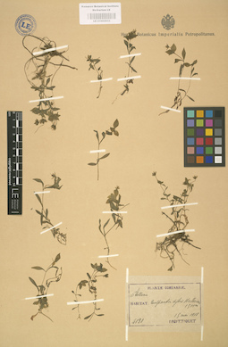 LE 01002933