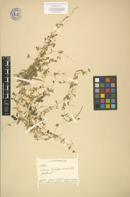 LE 01002934