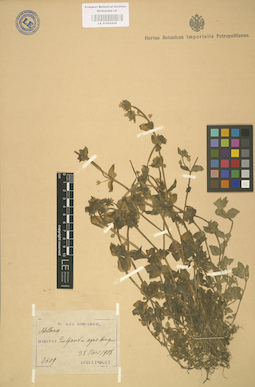 LE 01002936