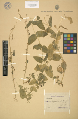 LE 01002937