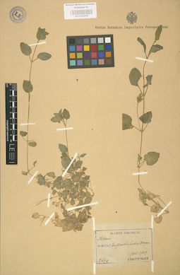LE 01002938