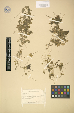 LE 01002939