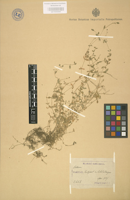 LE 01002940