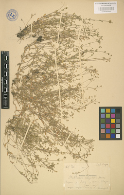 LE 01002941