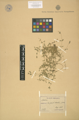 LE 01002942