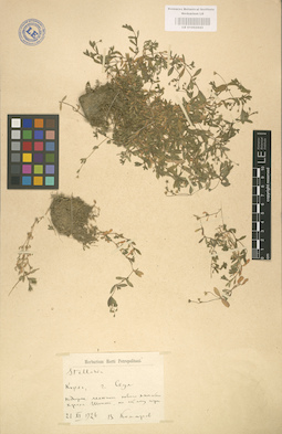 LE 01002943