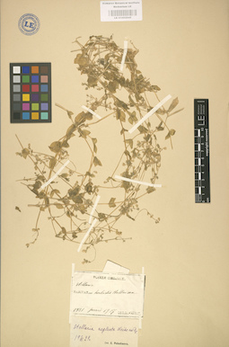 LE 01002945