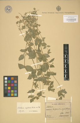 LE 01002946