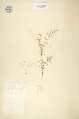 LE 01002947