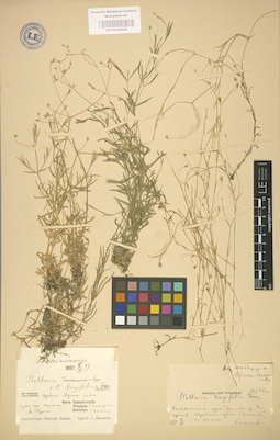 LE 01002948