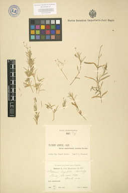 LE 01002949